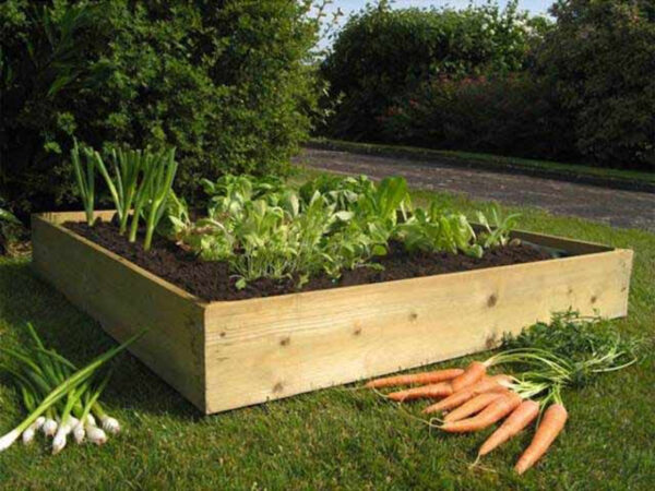 Quickcrop Raised Bed Vegetable Garden