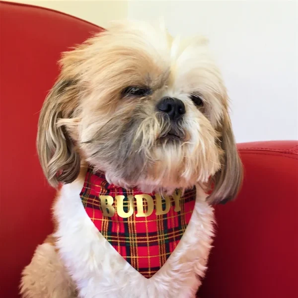 Woof Stuff Personalized Dog Bandana
