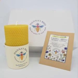 hanna's bees gift set