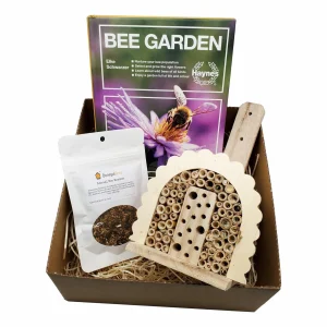 Donegal Bees Bee Friendly Garden Kit