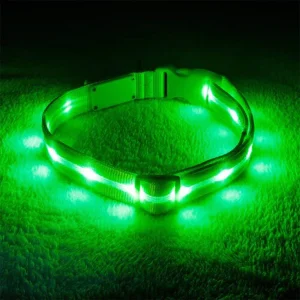 Bodylite Doggylite LED Dog Collar