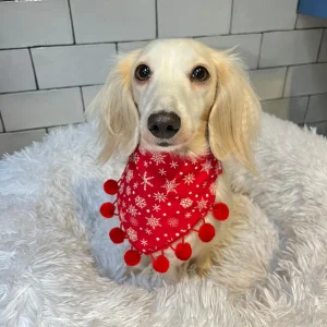 Woof Stuff Christmas Snowflakes Dog Bandana