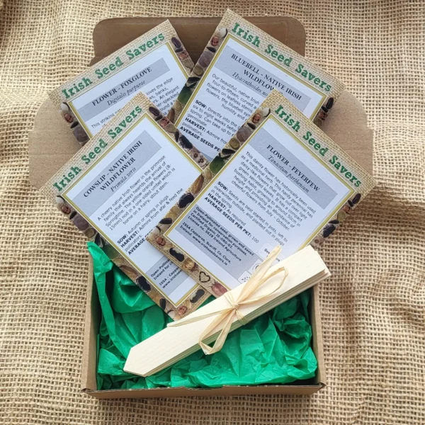 Wildflower Seed Set by Irish Seedsavers